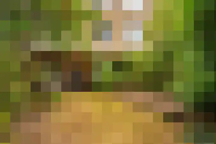Ridderspoor 31 Nijmegen thumbnail 18