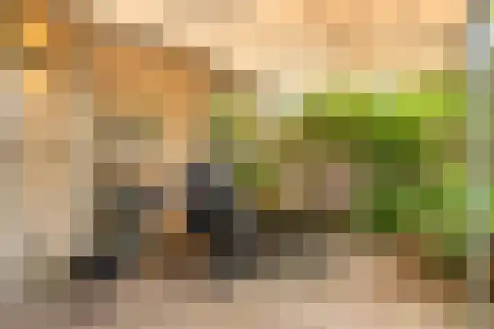 Ridderspoor 31 Nijmegen thumbnail 19