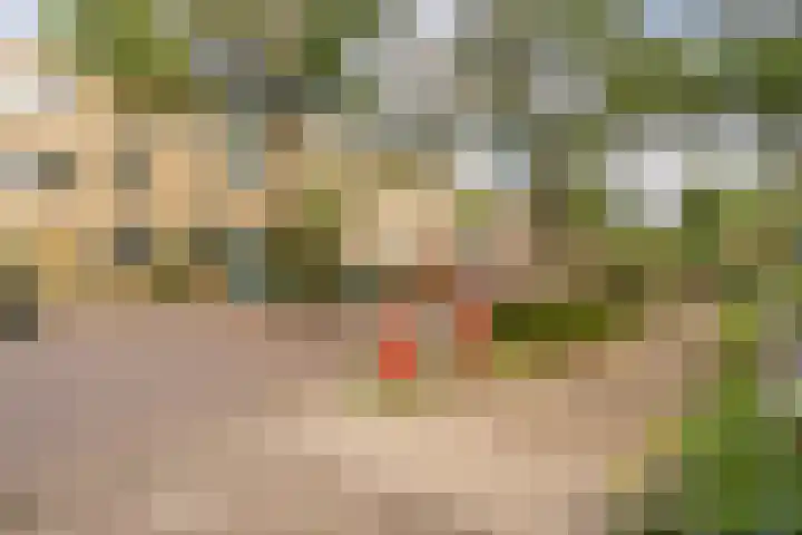Ridderspoor 31 Nijmegen thumbnail 24