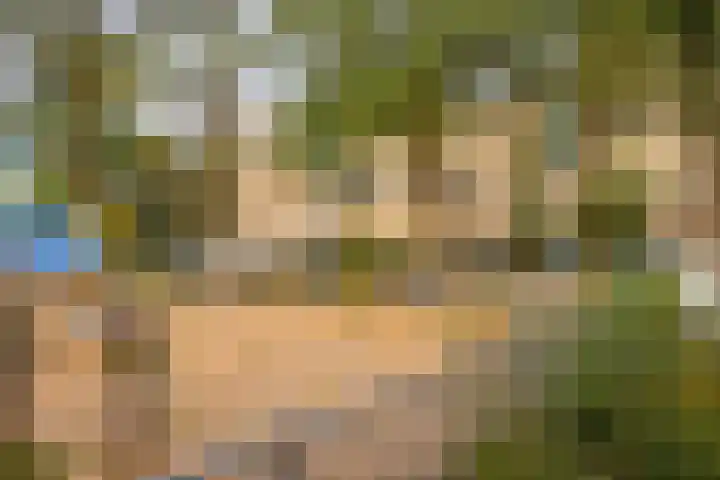 Ridderspoor 31 Nijmegen thumbnail 25