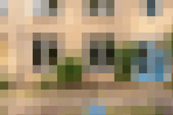 Ridderspoor 31 Nijmegen thumbnail 29