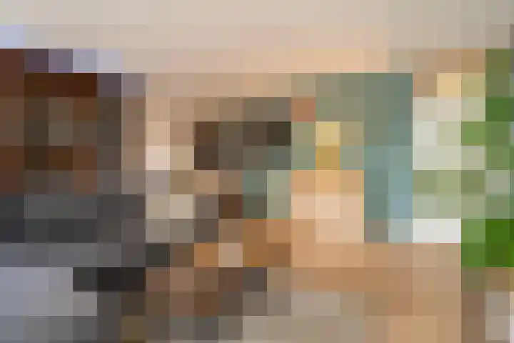 Ridderspoor 31 Nijmegen thumbnail 4