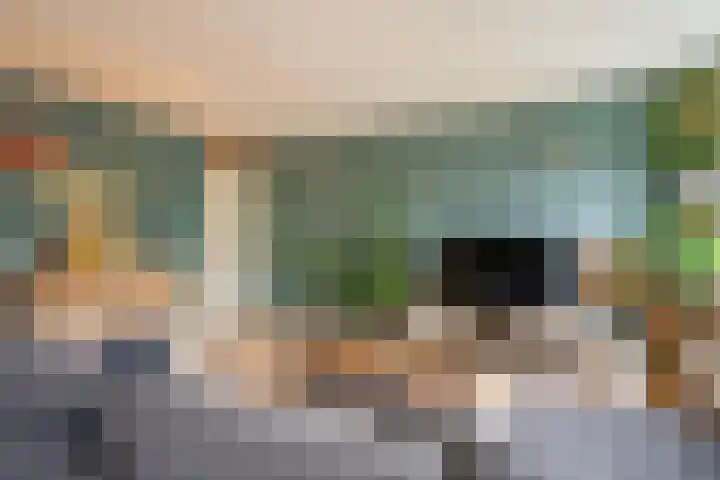 Ridderspoor 31 Nijmegen thumbnail 5