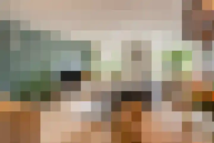 Ridderspoor 31 Nijmegen thumbnail 8