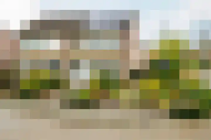 Ridderspoor 32 Borne