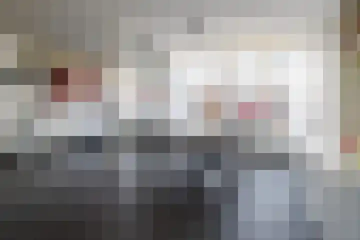 Ridderspoor 32 Borne thumbnail 10