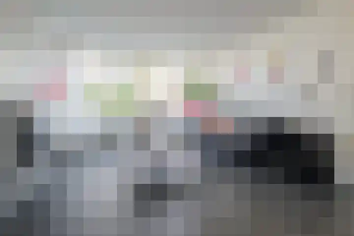 Ridderspoor 32 Borne thumbnail 13