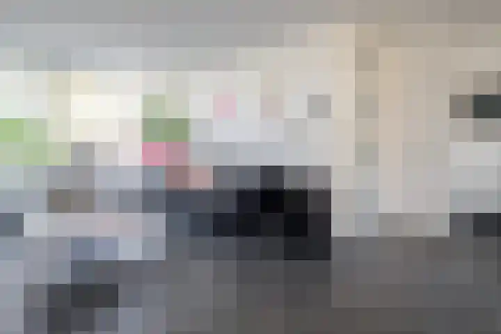 Ridderspoor 32 Borne thumbnail 14