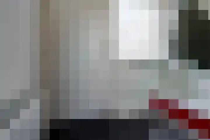 Ridderspoor 32 Borne foto 2