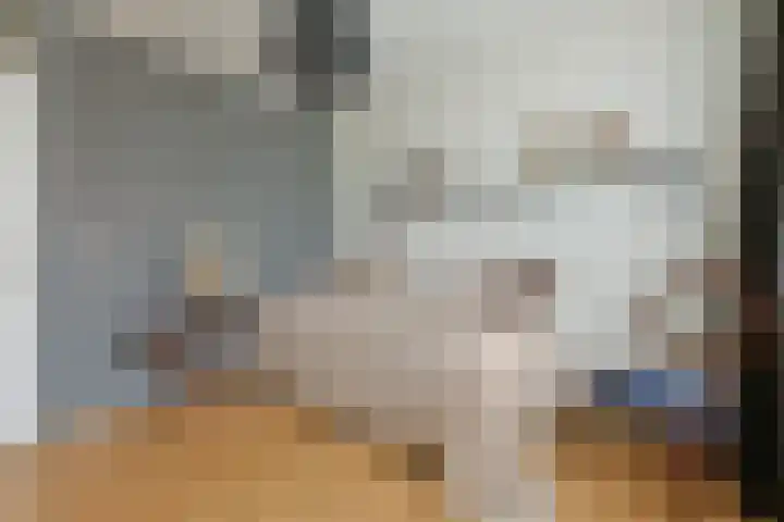 Ridderspoor 32 Borne thumbnail 20