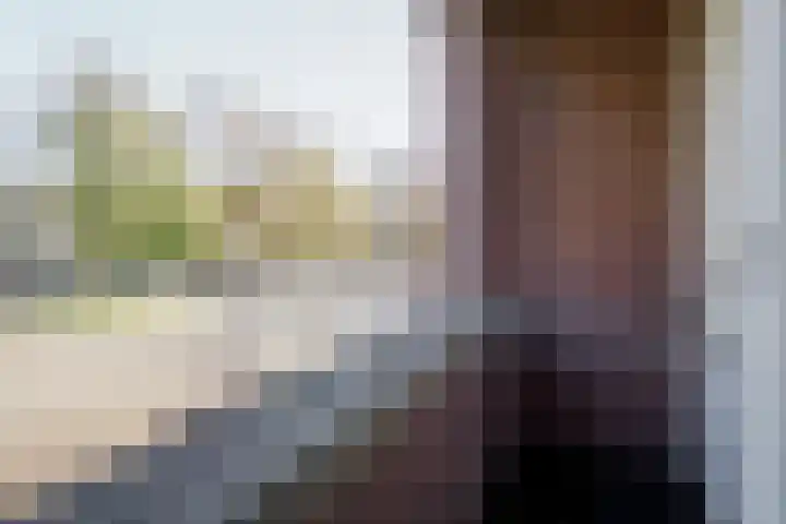 Ridderspoor 32 Borne thumbnail 21