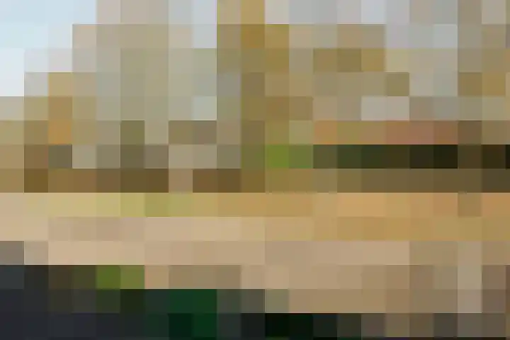 Ridderspoor 32 Borne thumbnail 22