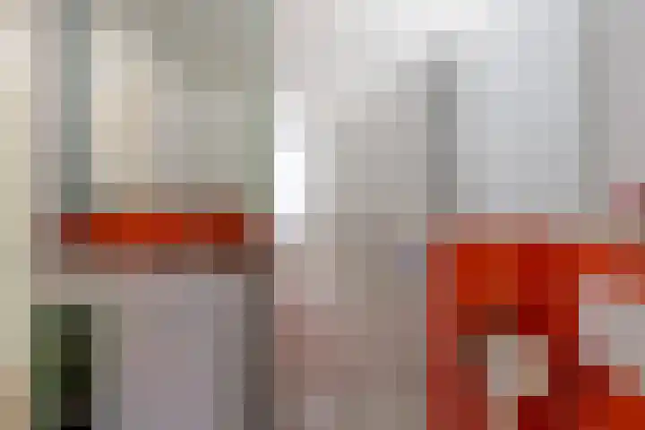 Ridderspoor 32 Borne thumbnail 26