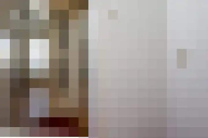 Ridderspoor 32 Borne thumbnail 28