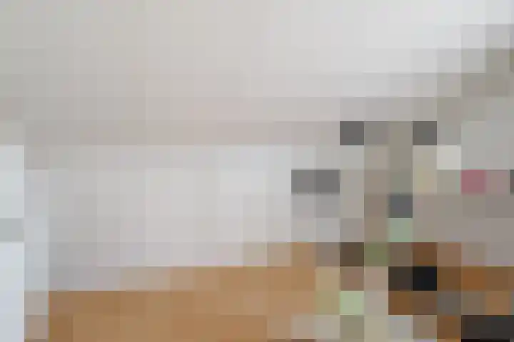 Ridderspoor 32 Borne thumbnail 30