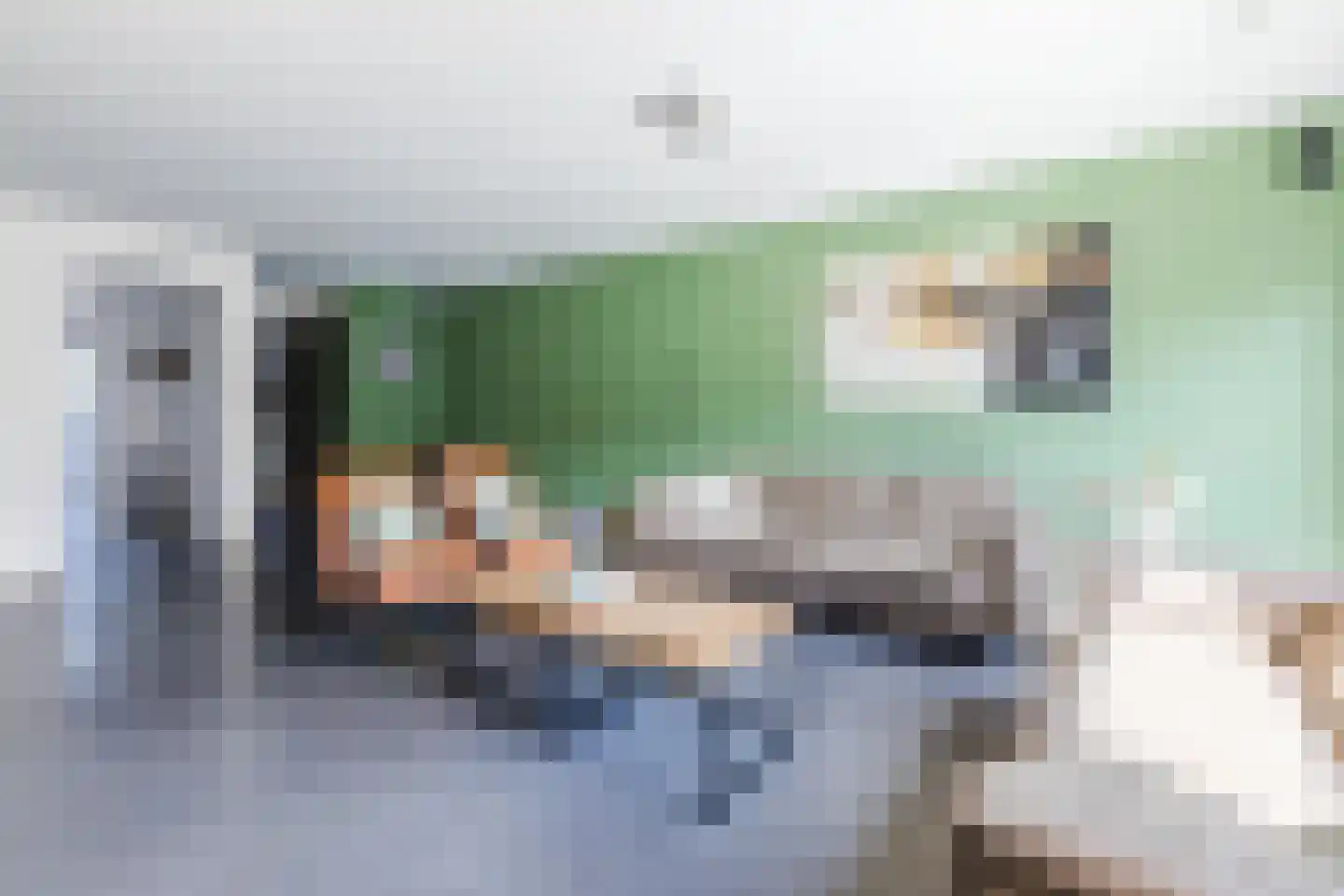 Ridderspoor 32 Borne thumbnail 37