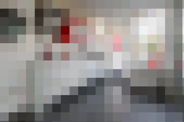 Ridderspoor 32 Borne thumbnail 4