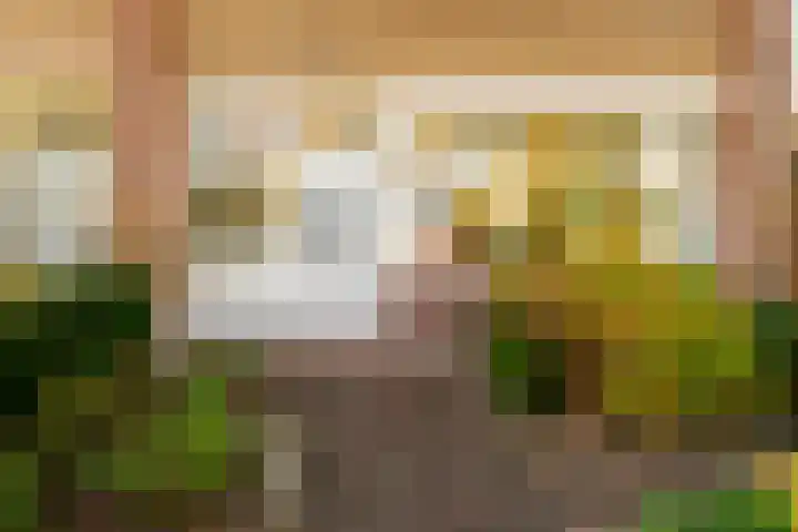 Ridderspoor 32 Borne thumbnail 46