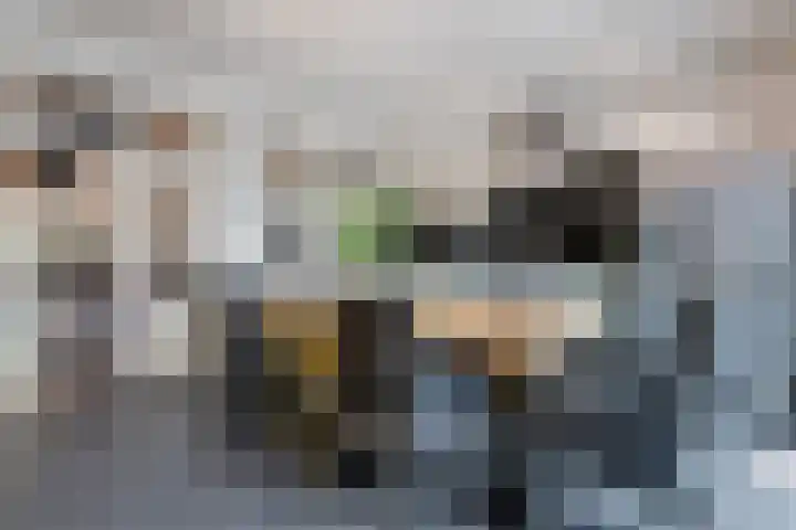 Ridderspoor 32 Borne thumbnail 47