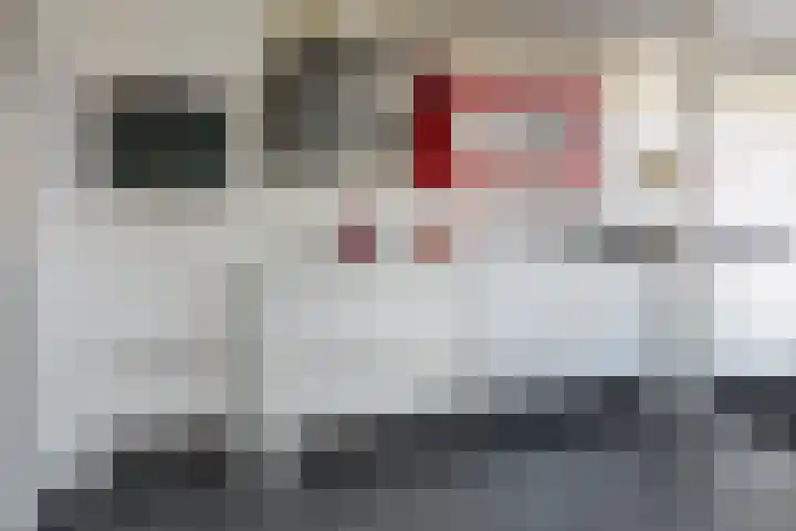 Ridderspoor 32 Borne thumbnail 5