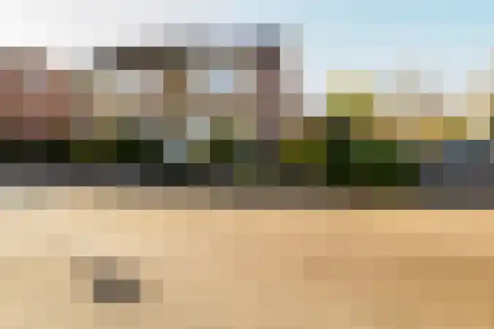 Ridderspoor 32 Borne thumbnail 50