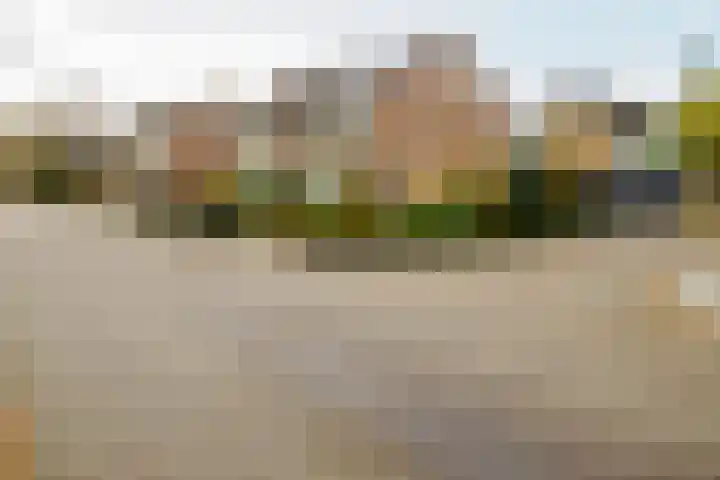 Ridderspoor 32 Borne thumbnail 52