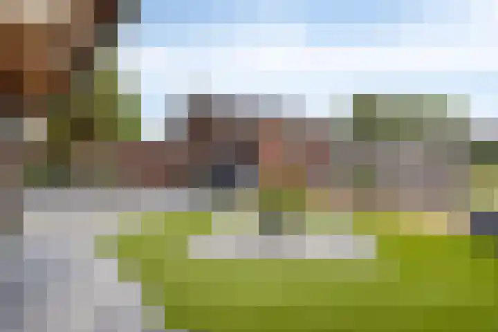 Ridderspoor 32 Borne thumbnail 55