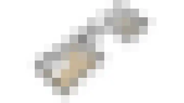 Ridderspoor 32 Borne thumbnail 56