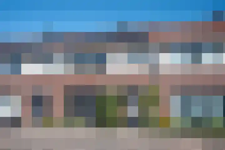 Ridderspoor 32 Borne thumbnail 57