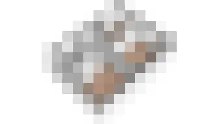 Ridderspoor 32 Borne thumbnail 58