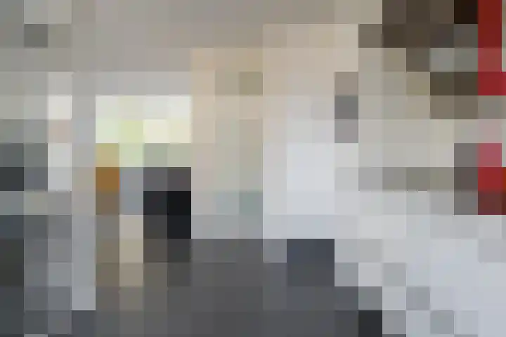 Ridderspoor 32 Borne thumbnail 6