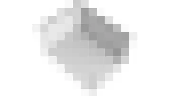 Ridderspoor 32 Borne thumbnail 62