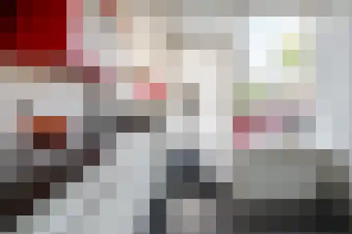 Ridderspoor 32 Borne thumbnail 7