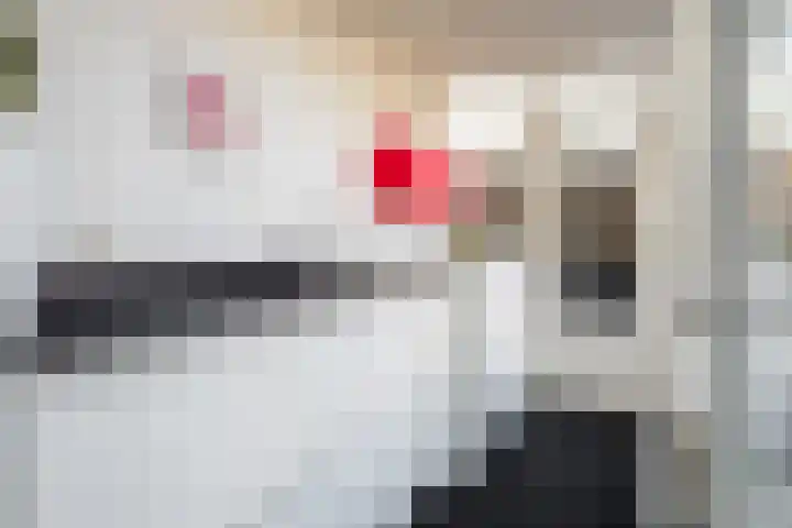 Ridderspoor 32 Borne thumbnail 8