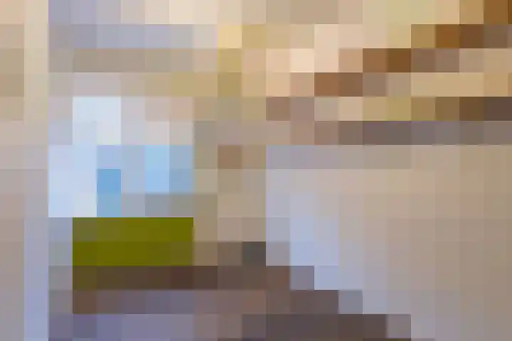Ridderspoor 33 Zwaag thumbnail 32