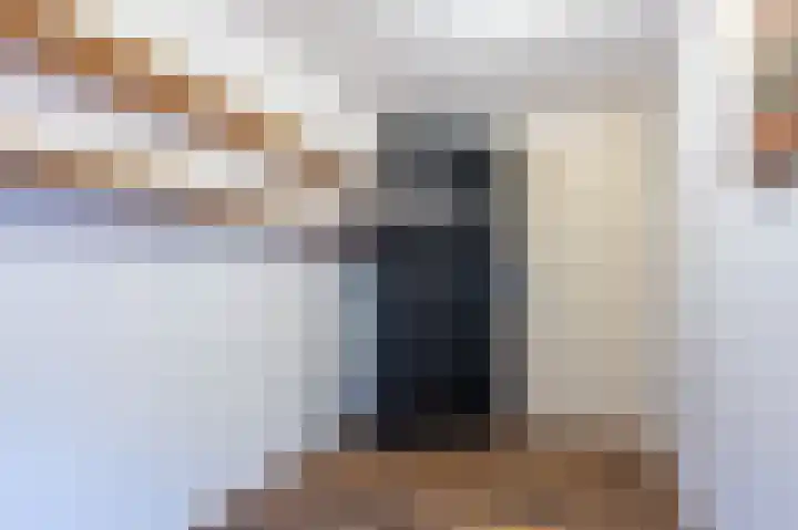 Ridderspoor 33 Zwaag thumbnail 33
