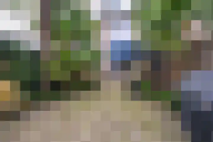 Ridderspoor 33 Zwaag thumbnail 36