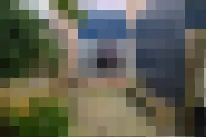 Ridderspoor 33 Zwaag thumbnail 37