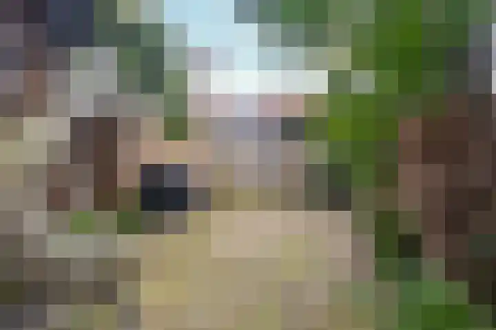 Ridderspoor 33 Zwaag thumbnail 4