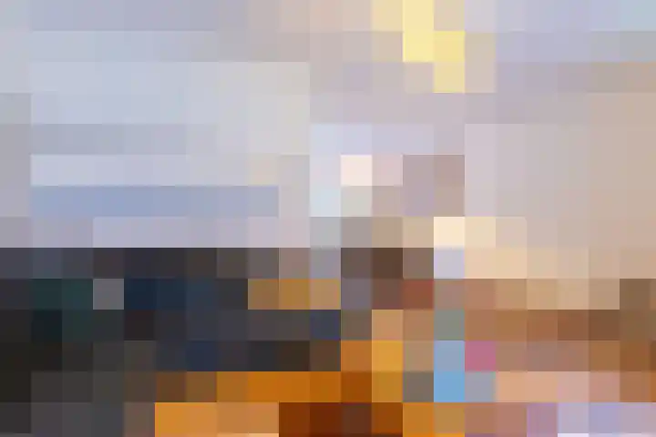 Ridderspoor 33 Zwaag thumbnail 8
