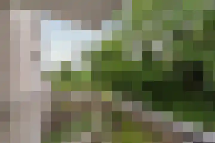 Ridderspoor 40 Nijmegen thumbnail 13