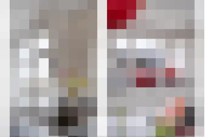 Ridderspoor 41 Nijmegen thumbnail 10
