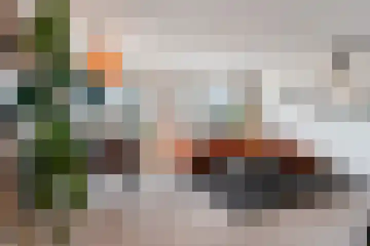 Ridderspoor 41 Nijmegen thumbnail 10
