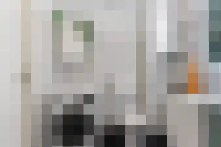 Ridderspoor 41 Nijmegen thumbnail 28