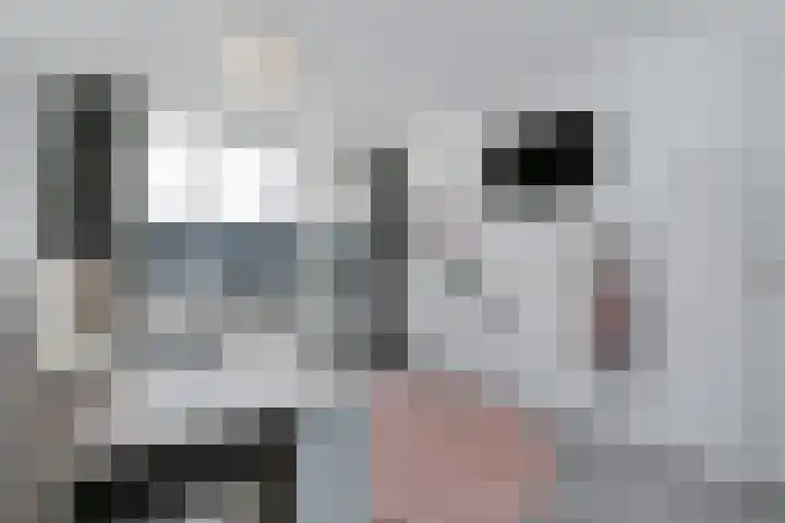 Ridderspoor 47 Hoevelaken thumbnail 13