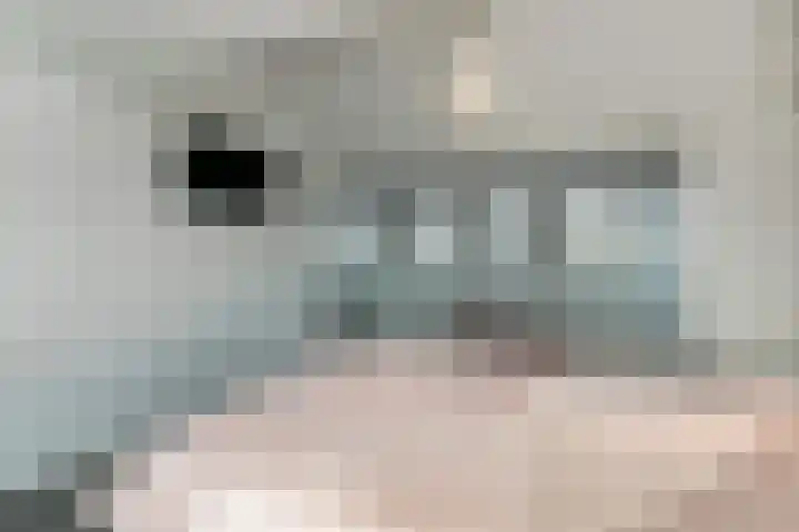 Ridderspoor 47 Hoevelaken thumbnail 23