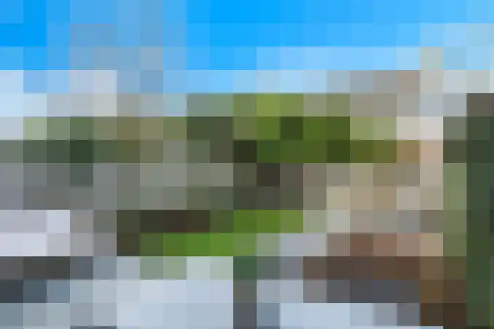 Ridderspoor 47 Hoevelaken thumbnail 28