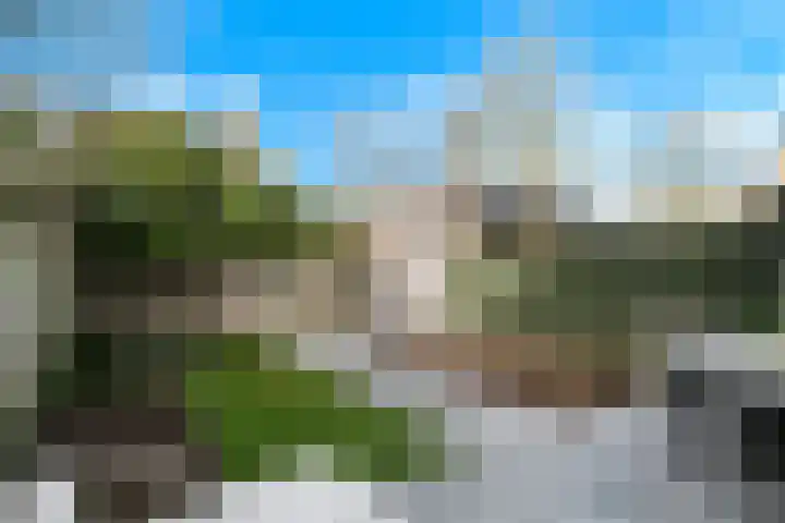 Ridderspoor 47 Hoevelaken thumbnail 29
