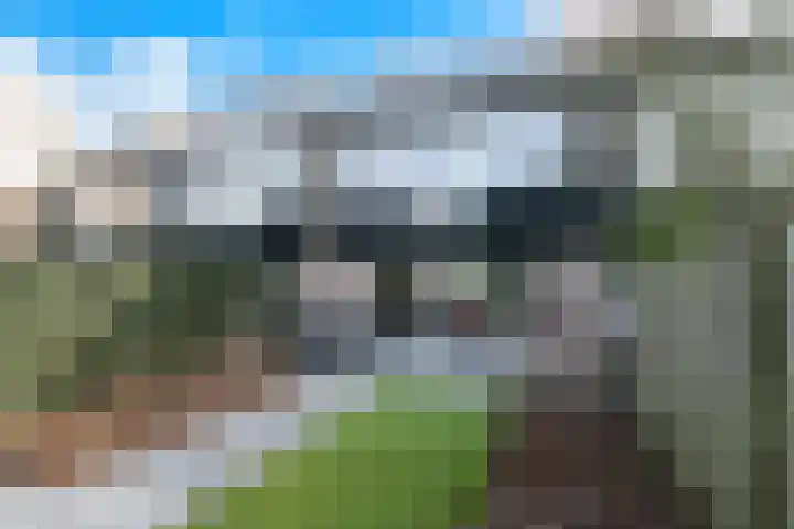Ridderspoor 47 Hoevelaken thumbnail 31