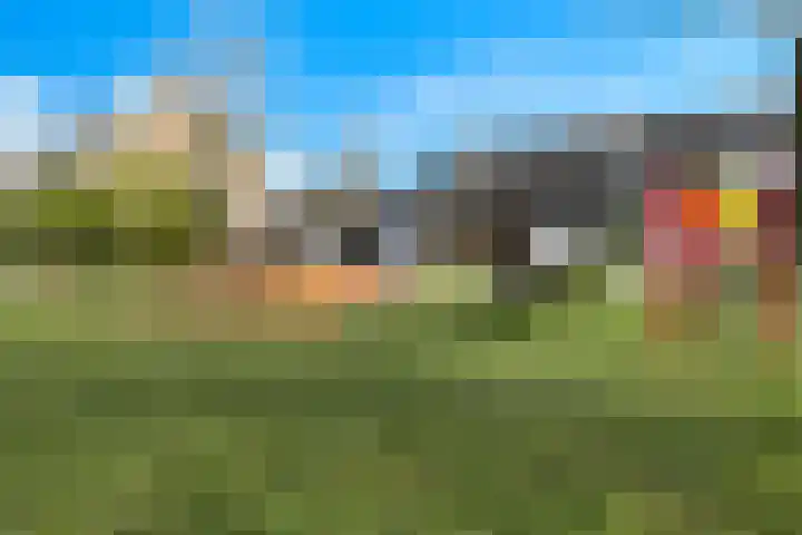 Ridderspoor 47 Hoevelaken thumbnail 32